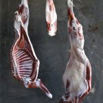 ماکت لاشه گوسفند